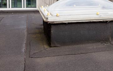 disadvantages of South Broomage flat roofs